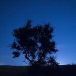 Fernando López Gómez