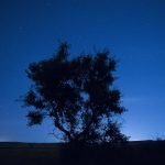 Fernando López Gómez